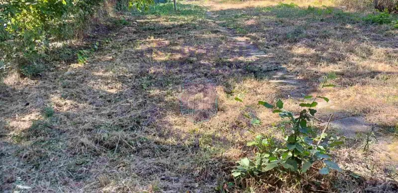 Kuća na prodaju Petrovaradin 59m2, 577494
