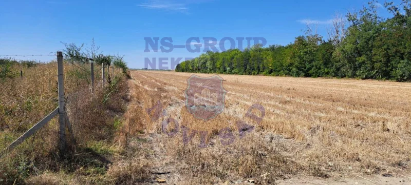 plac na prodaju Kisač, 5156m2 577587