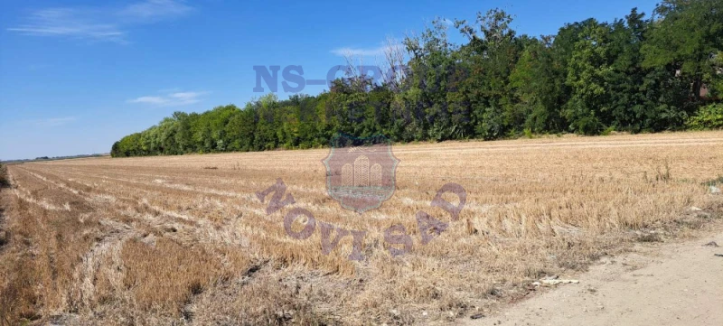 Plac na prodaju Kisač 5156m2, 577587