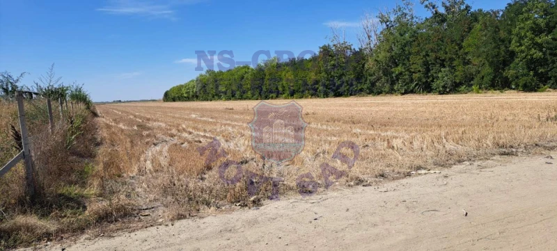 Plac na prodaju Kisač 5156m2, 577587