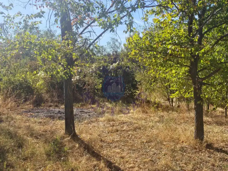Plac na prodaju Banoštor 1983m2, 577728