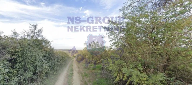 Plac na prodaju Bukovac 4598m2, 577749