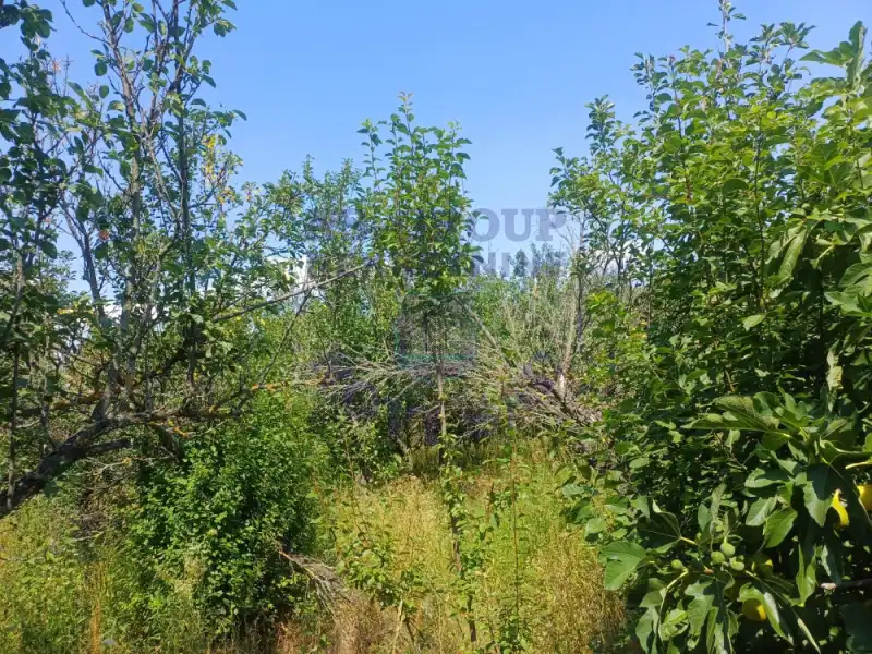 Plac na prodaju Sremski Karlovci 3551m2, 572496