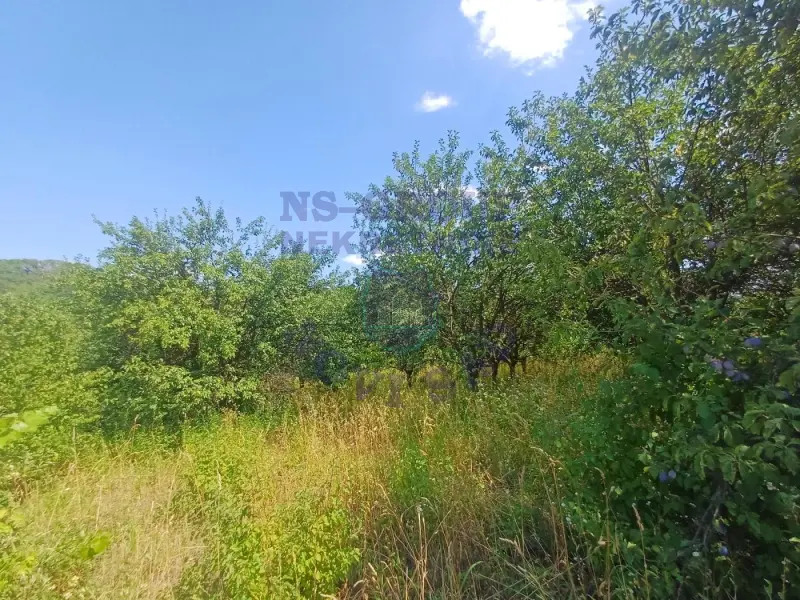 Plac na prodaju Sremski Karlovci 3551m2, 572496