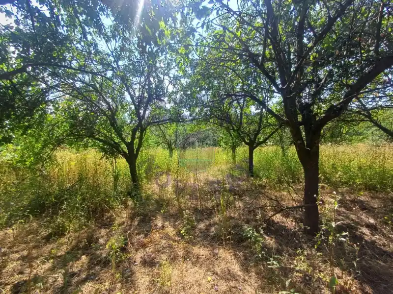Plac na prodaju Sremski Karlovci 3551m2, 572496