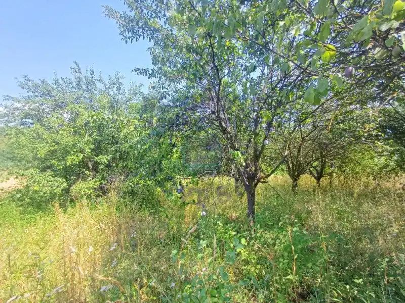 Plac na prodaju Sremski Karlovci 3551m2, 572496