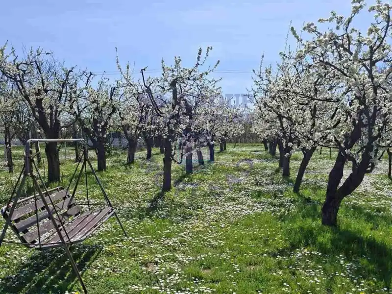 Kuća na prodaju Krušedol 30m2, 577724