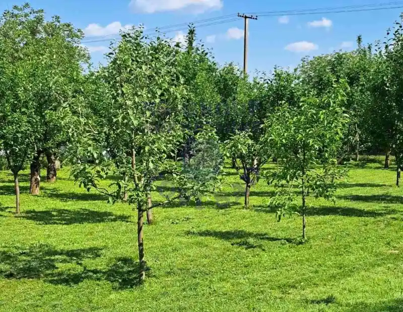 Kuća na prodaju Krušedol 30m2, 577724