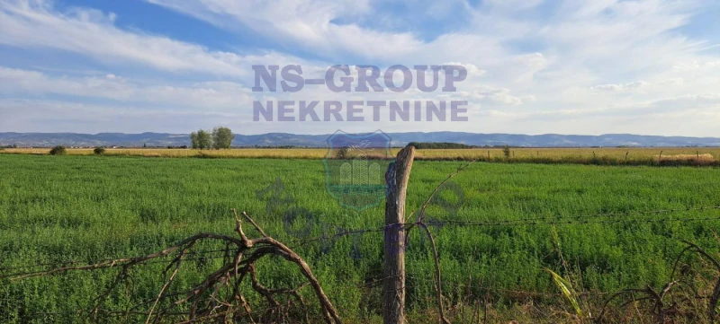 Plac na prodaju Rumenka 9930m2, 578046