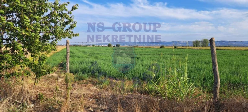 Plac na prodaju Rumenka 9930m2, 578046