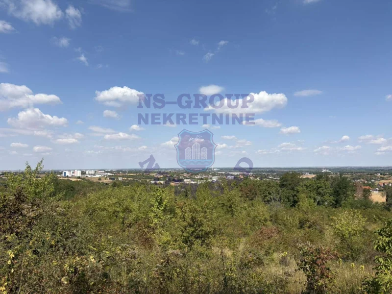 Plac na prodaju Petrovaradin 1966m2, 577913