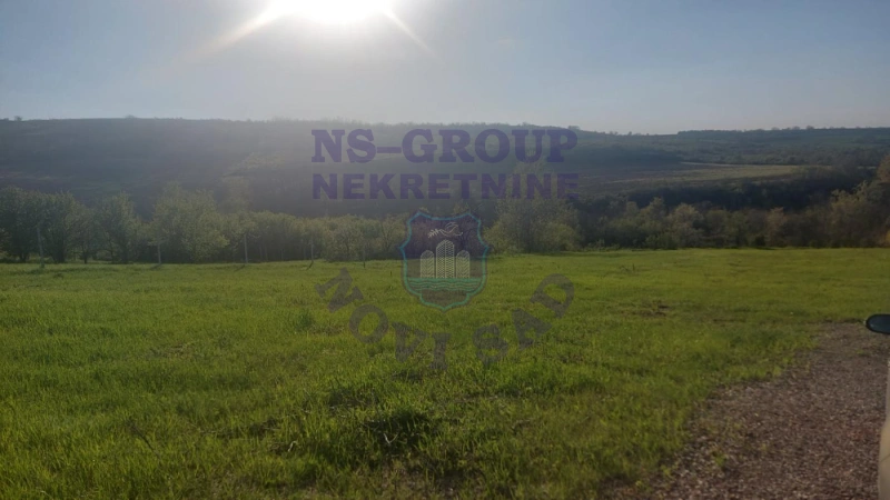 plac na prodaju Čerević, 1500m2 578076