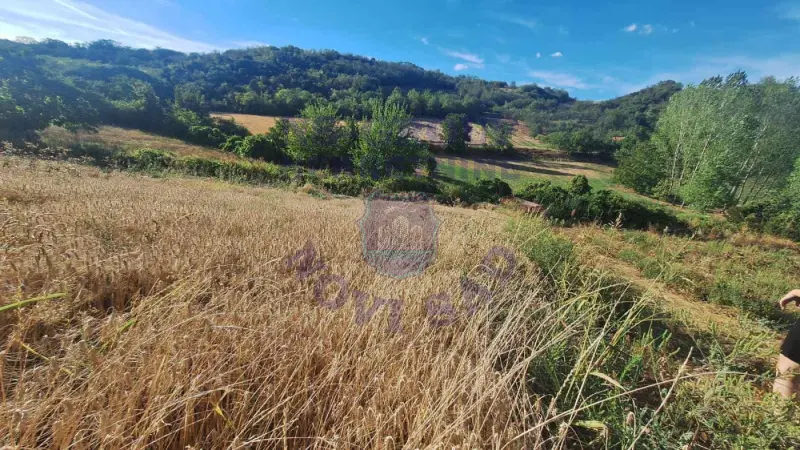 Plac na prodaju Beočin 12314m2, 578145