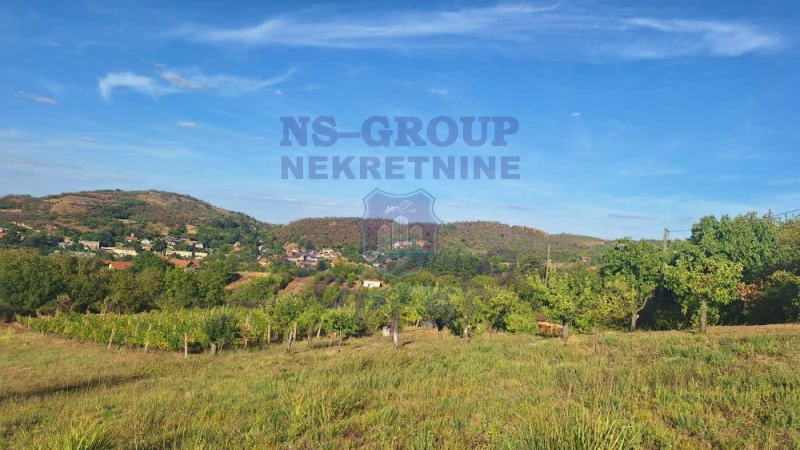 Plac na prodaju Beočin 12314m2, 578145