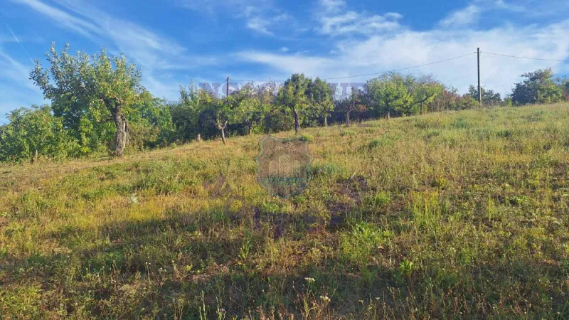 Plac na prodaju Beočin 12314m2, 578145