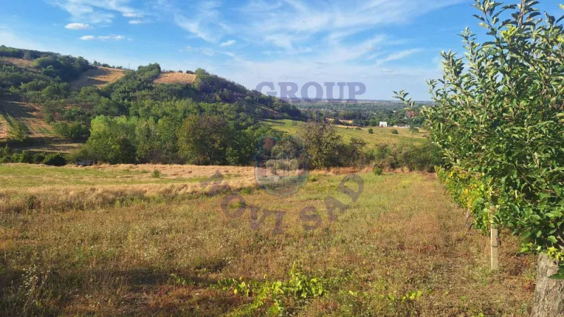 Plac na prodaju Beočin 12314m2, 578145
