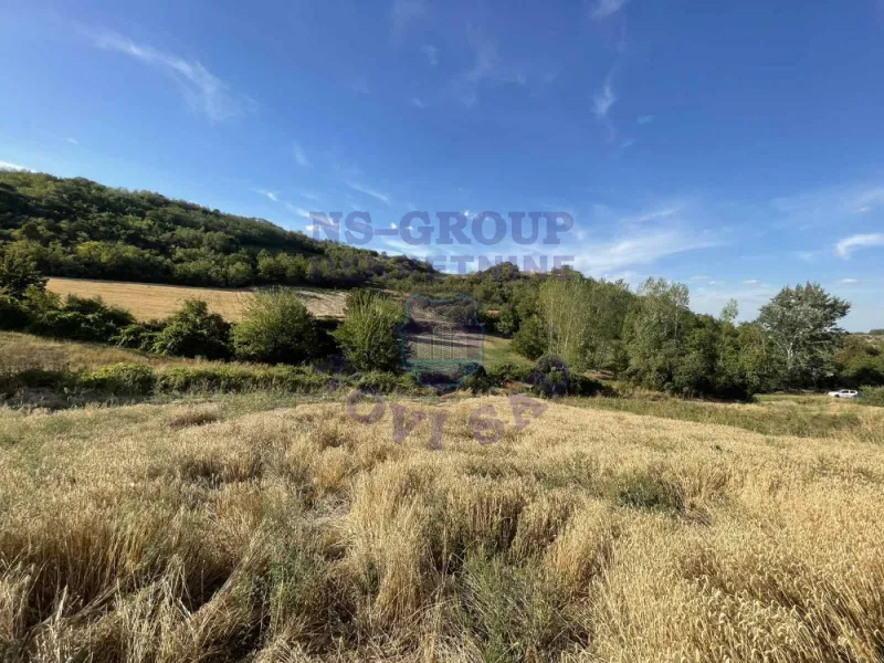 Plac na prodaju Beočin 12314m2, 578145
