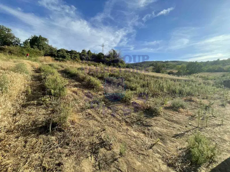 Plac na prodaju Beočin 12314m2, 578145