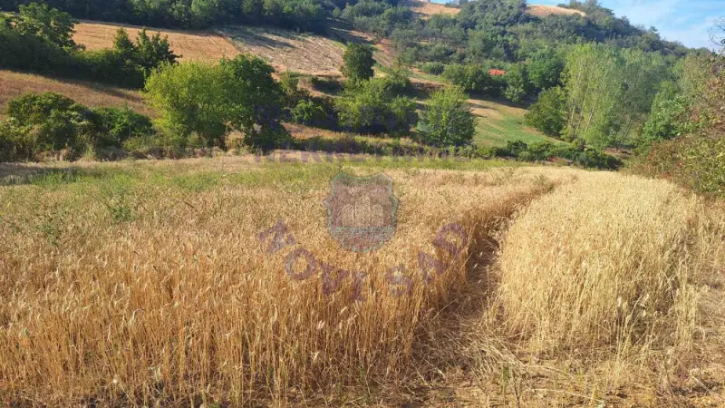 Plac na prodaju Beočin 12314m2, 578145