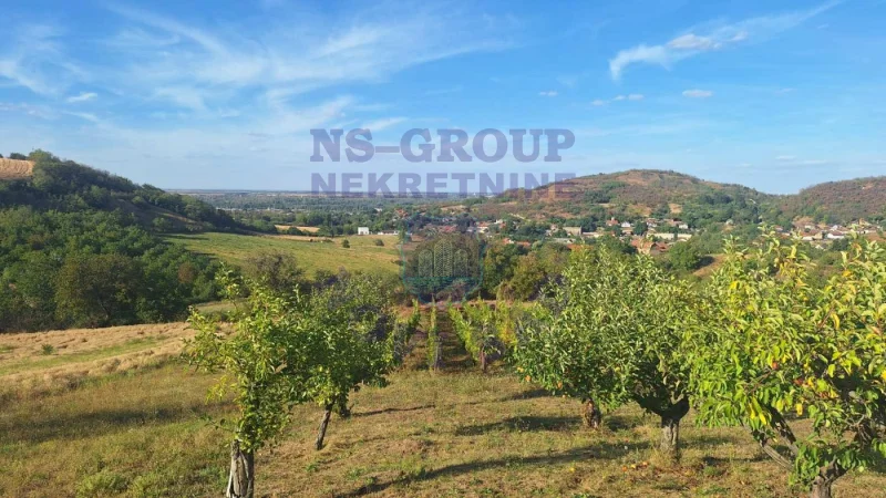 Plac na prodaju Beočin 12314m2, 578145