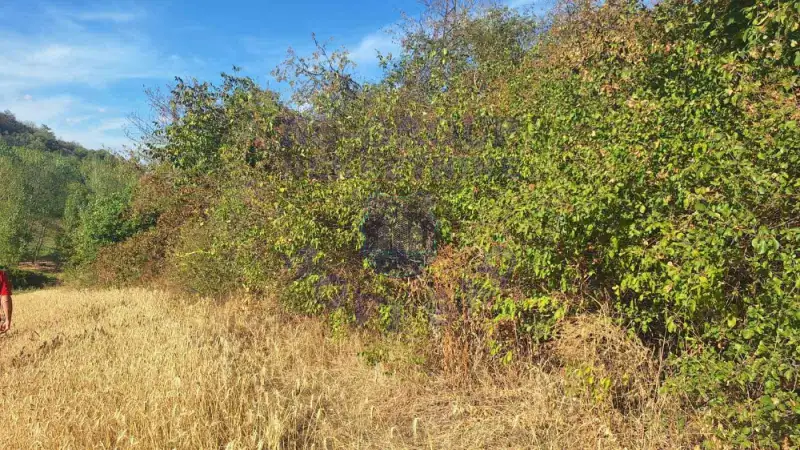Plac na prodaju Beočin 12314m2, 578145