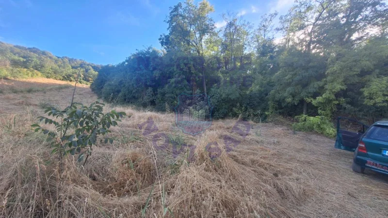 Plac na prodaju Beočin 6980m2, 578156