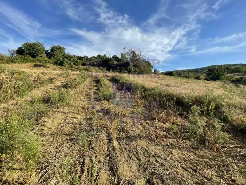 Plac na prodaju Beočin 12314m2, 578145