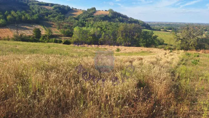 Plac na prodaju Beočin 12314m2, 578145