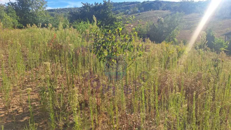 Plac na prodaju Beočin 12314m2, 578145