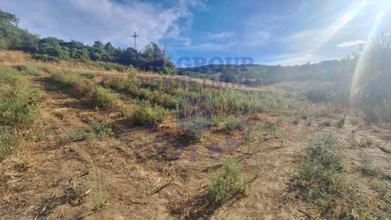 Plac na prodaju Beočin 12314m2, 578145