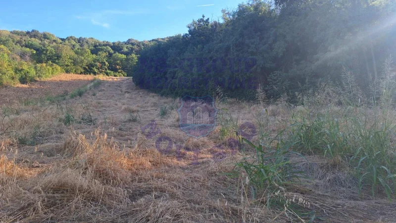 Plac na prodaju Beočin 6980m2, 578156