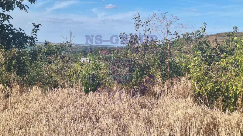 Plac na prodaju Beočin 12314m2, 578145