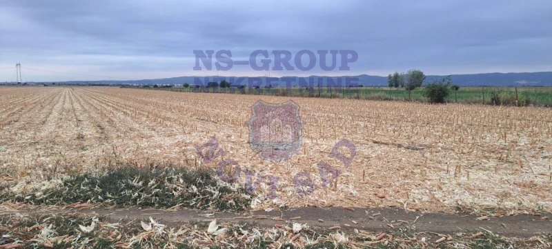 Plac na prodaju Rumenka 9930m2, 578046