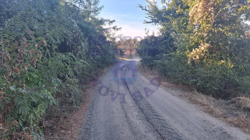 Plac na prodaju Beočin 6980m2, 578156