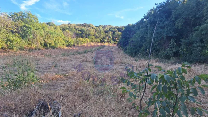 Plac na prodaju Beočin 6980m2, 578156