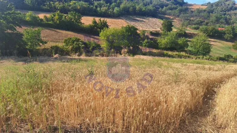 Plac na prodaju Beočin 12314m2, 578145