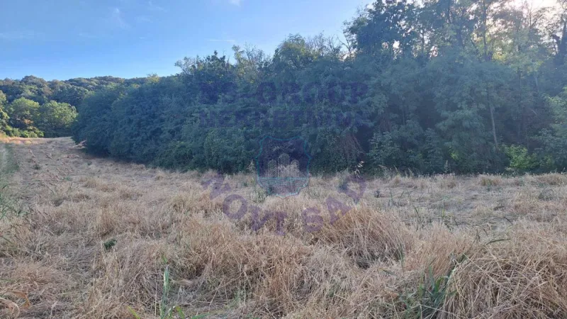 Plac na prodaju Beočin 6980m2, 578156