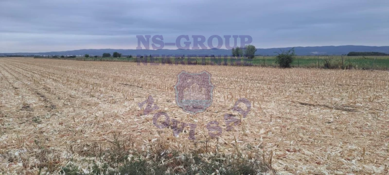 Plac na prodaju Rumenka 9930m2, 578046