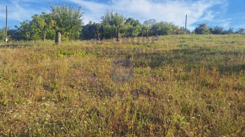 Plac na prodaju Beočin 12314m2, 578145