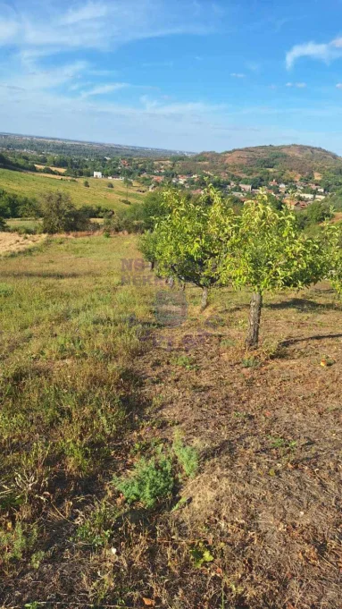 Plac na prodaju Beočin 12314m2, 578145