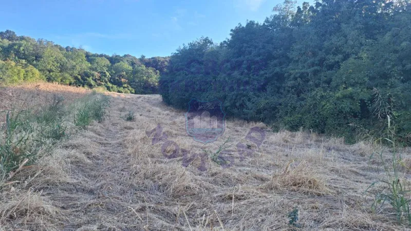 Plac na prodaju Beočin 6980m2, 578156