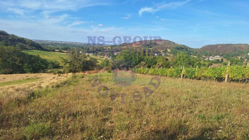 plac na prodaju Beočin, 12314m2 578145