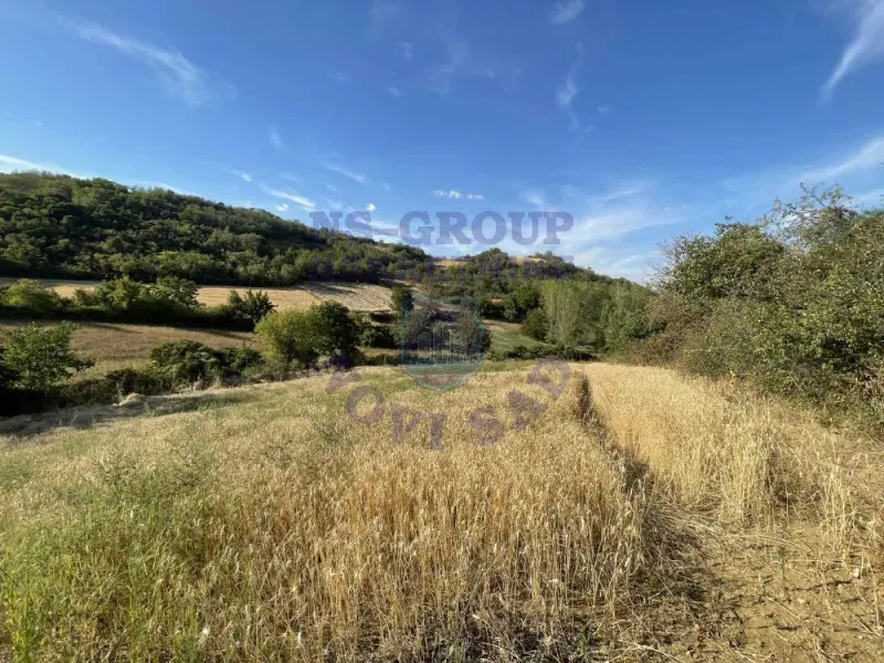 Plac na prodaju Beočin 12314m2, 578145