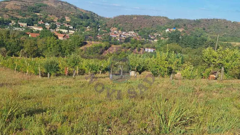 Plac na prodaju Beočin 12314m2, 578145