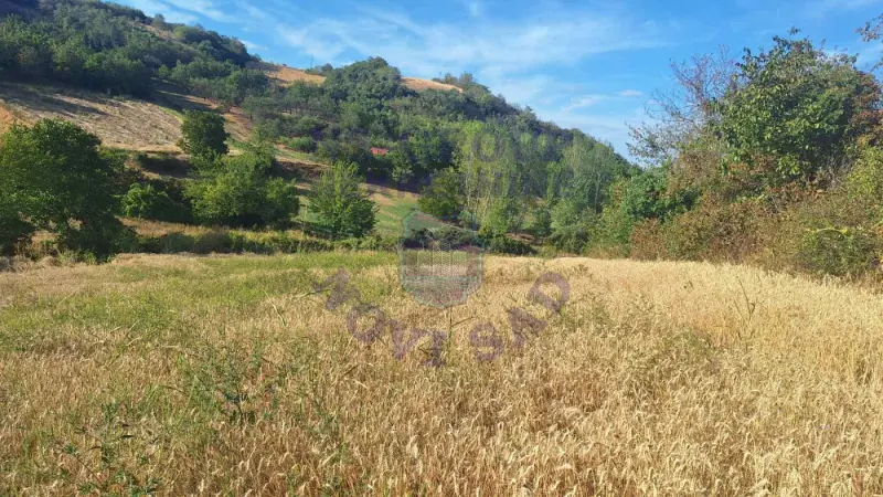 Plac na prodaju Beočin 12314m2, 578145