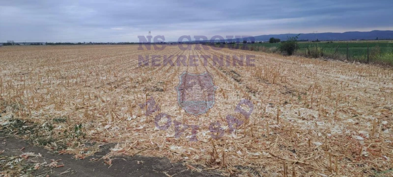 Plac na prodaju Rumenka 9930m2, 578046