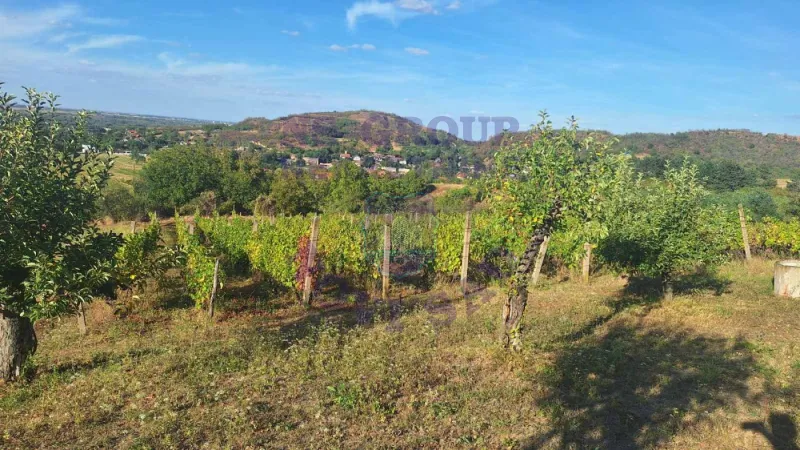 Plac na prodaju Beočin 12314m2, 578145