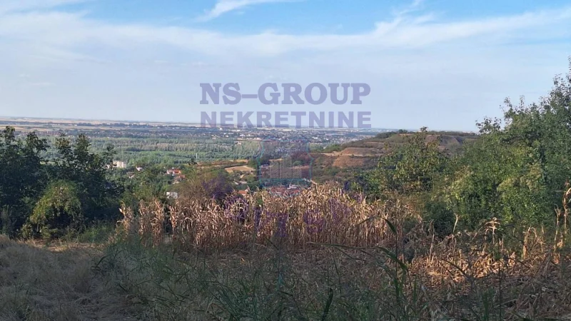 Plac na prodaju Beočin 6980m2, 578156