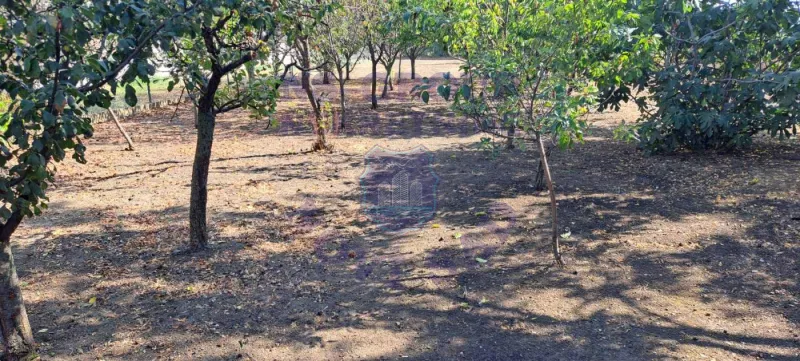 Kuća na prodaju Žabalj 80m2, 578178