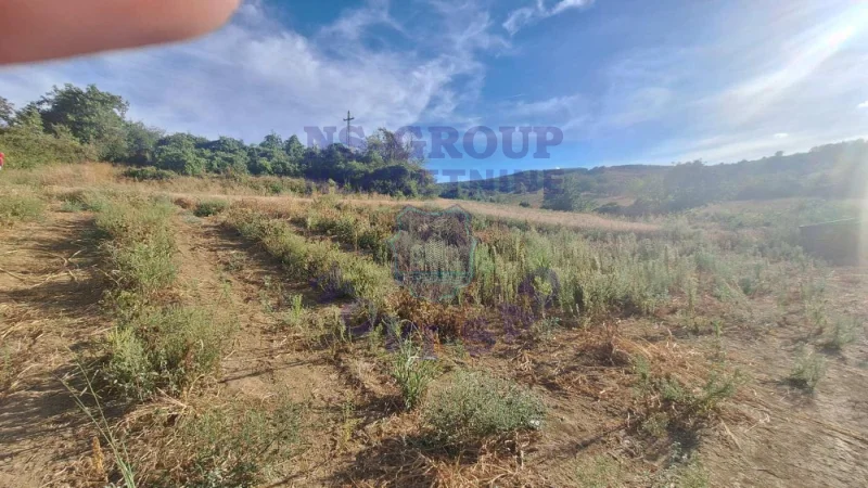 Plac na prodaju Beočin 12314m2, 578145